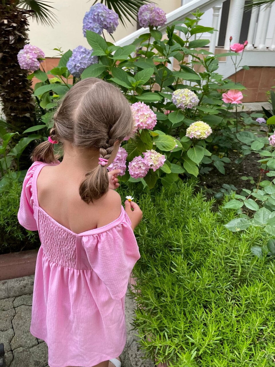 Гостиница Адлер Адлер-51