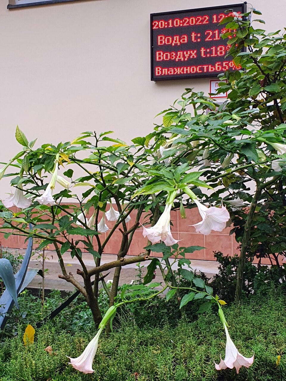 Гостиница Адлер Адлер-57