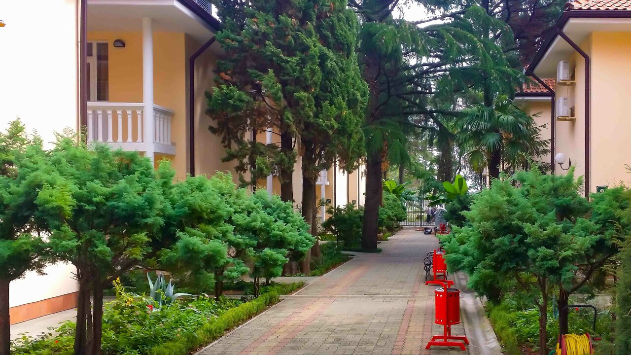 Гостиница Адлер Адлер