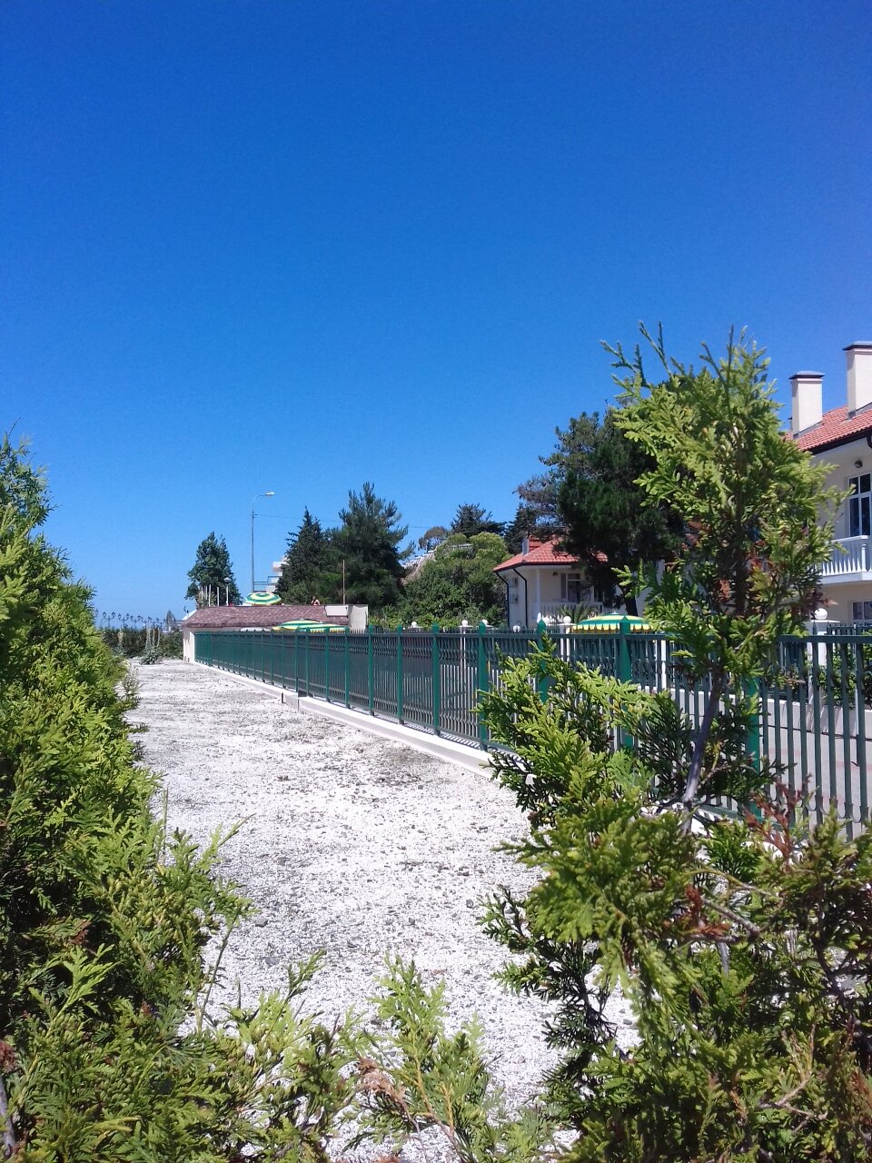 Гостиница Адлер Адлер-114