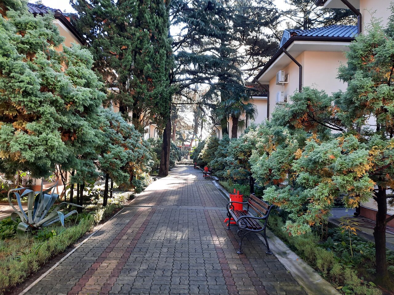 Гостиница Адлер Адлер-46