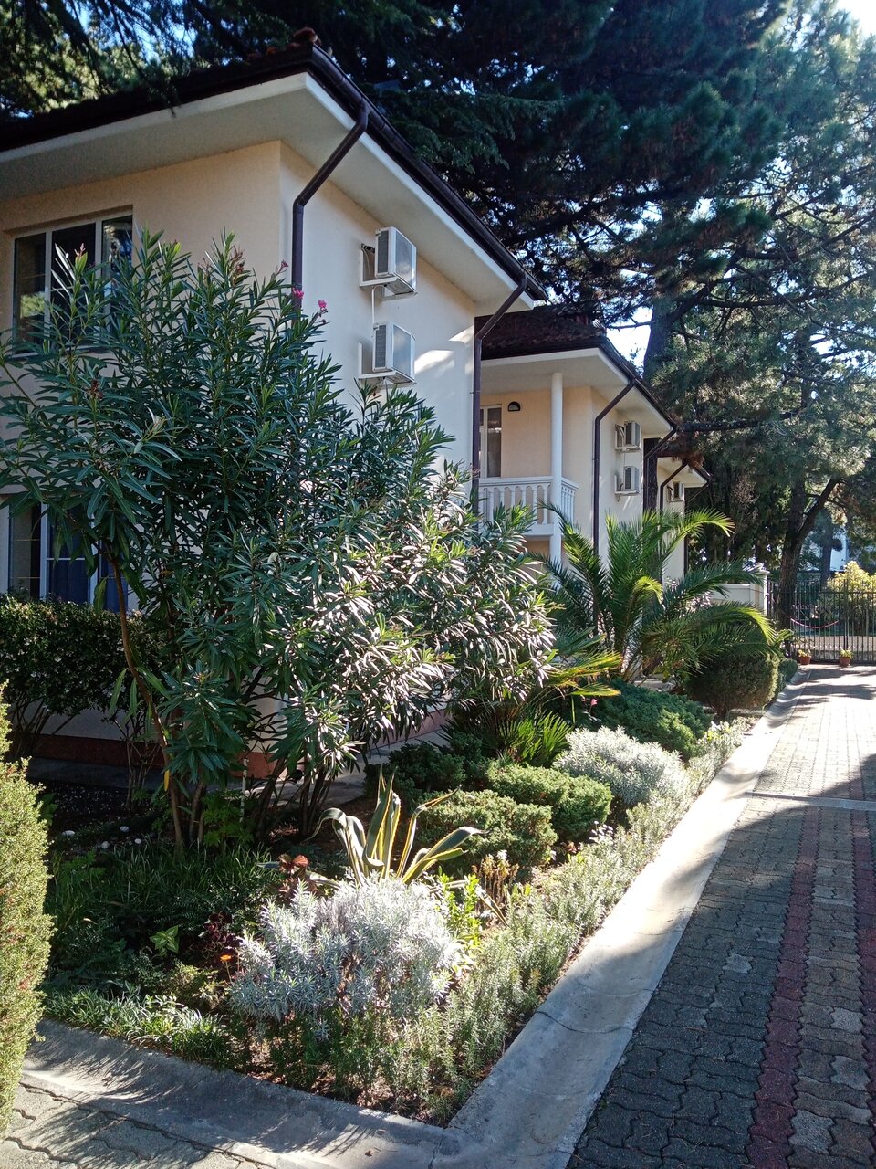 Гостиница Адлер Адлер-58