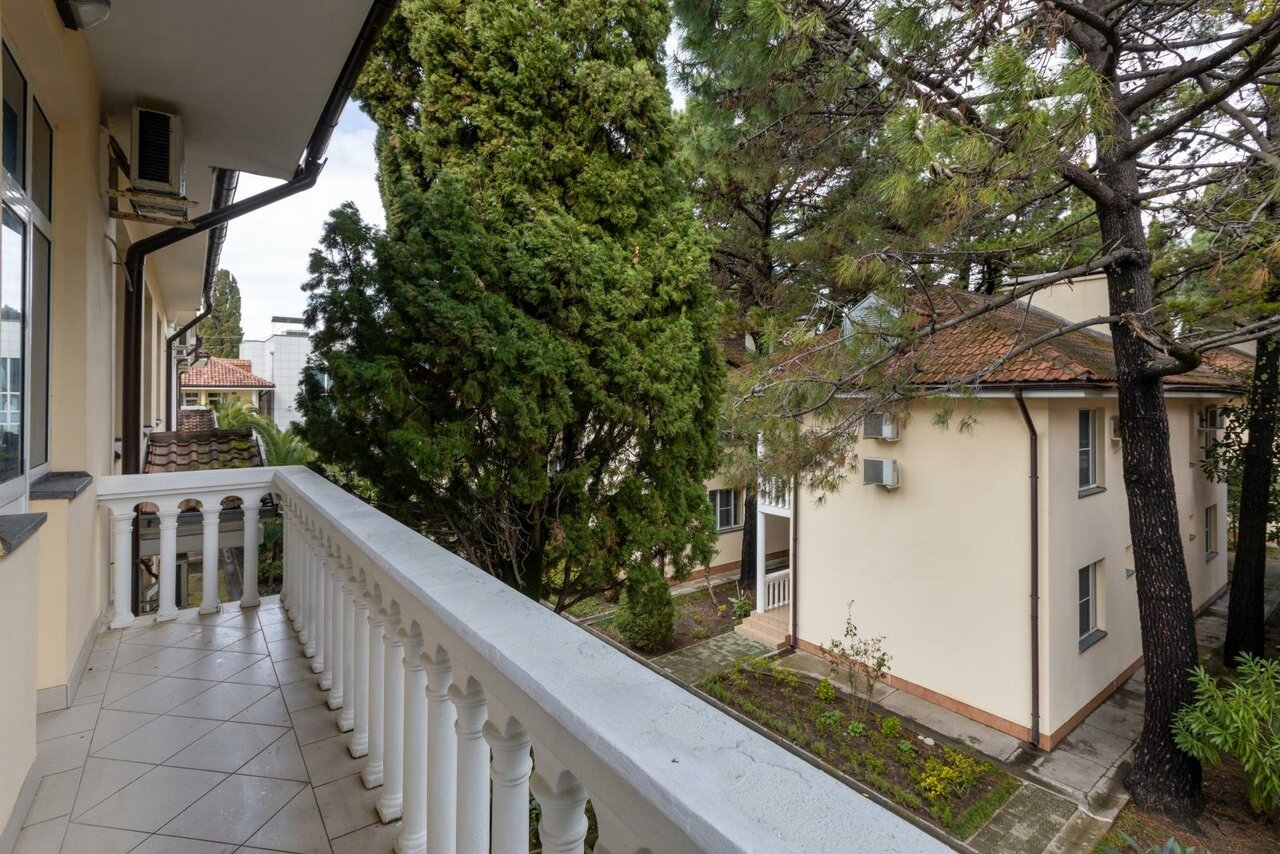 Гостиница Адлер Адлер-224