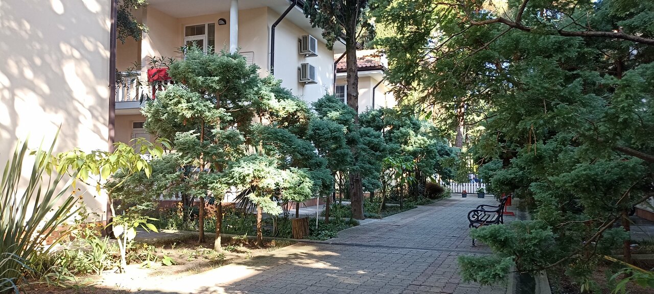 Гостиница Адлер Адлер-61