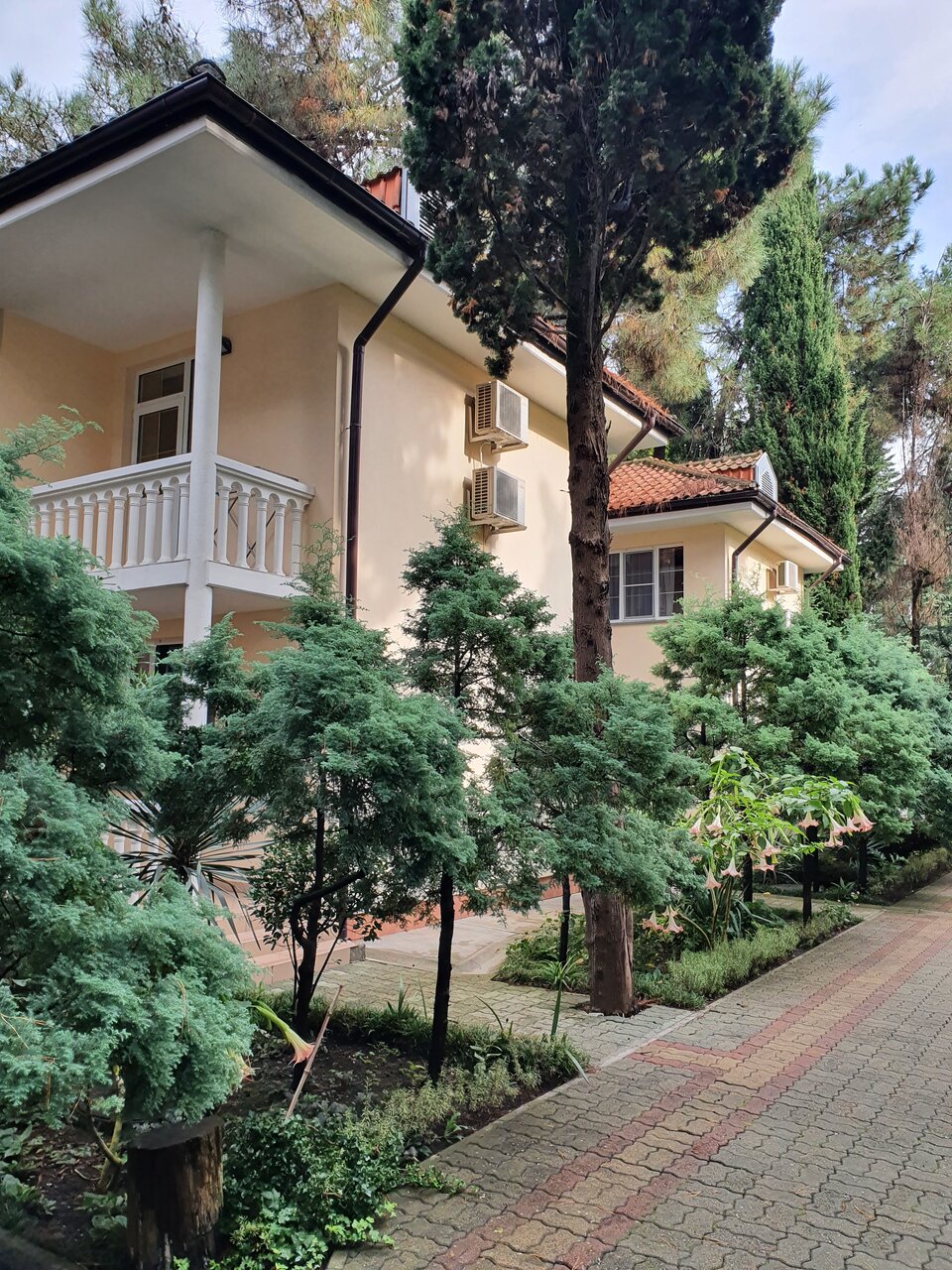 Гостиница Адлер Адлер-5