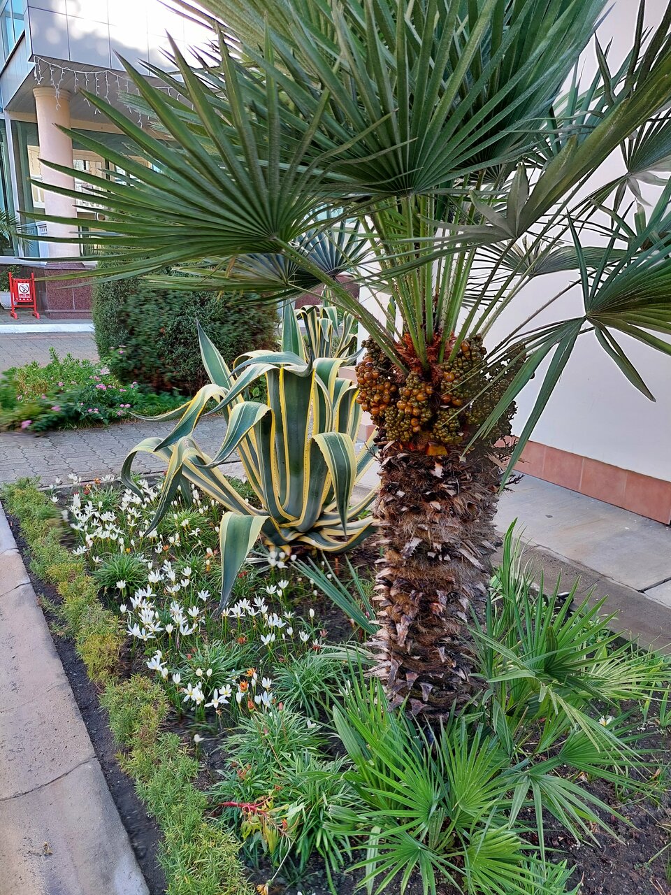 Гостиница Адлер Адлер-36