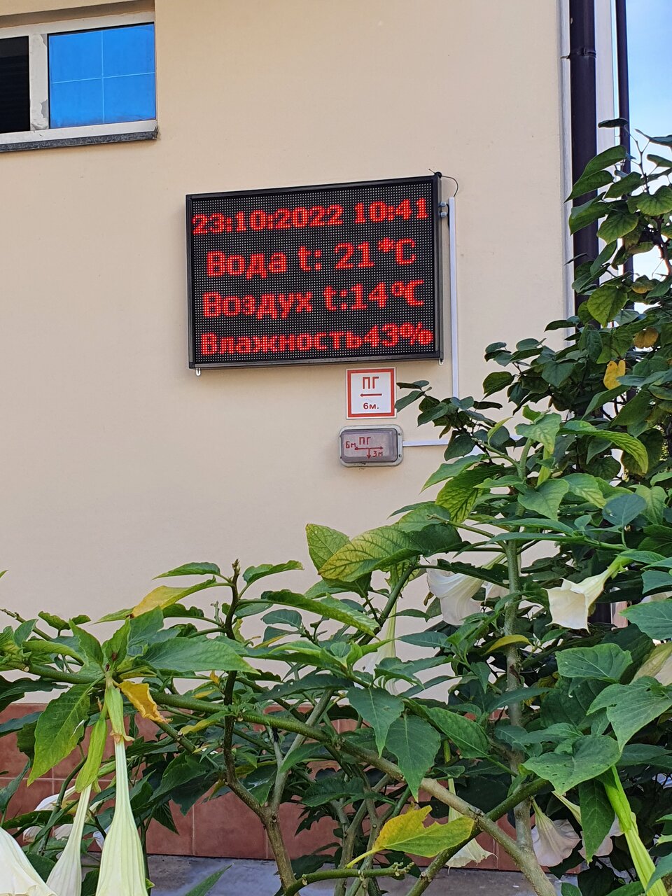 Гостиница Адлер Адлер-66