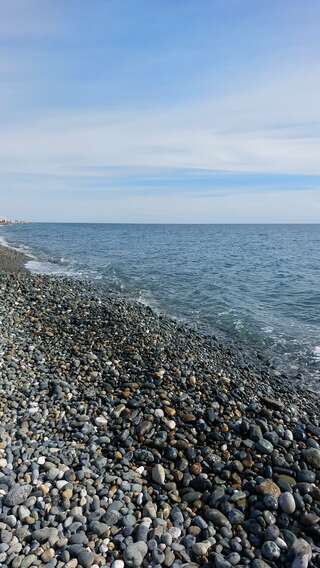 Гостиница Адлер Адлер-7