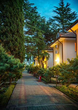 Гостиница Адлер Адлер Номер Делюкс с кроватью размера «king-size»-6