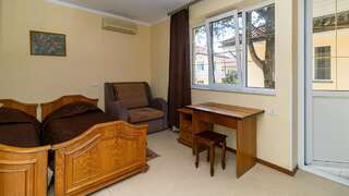 Гостиница Адлер Адлер Стандартный двухместный номер с 1 кроватью или 2 отдельными кроватями и балконом-6