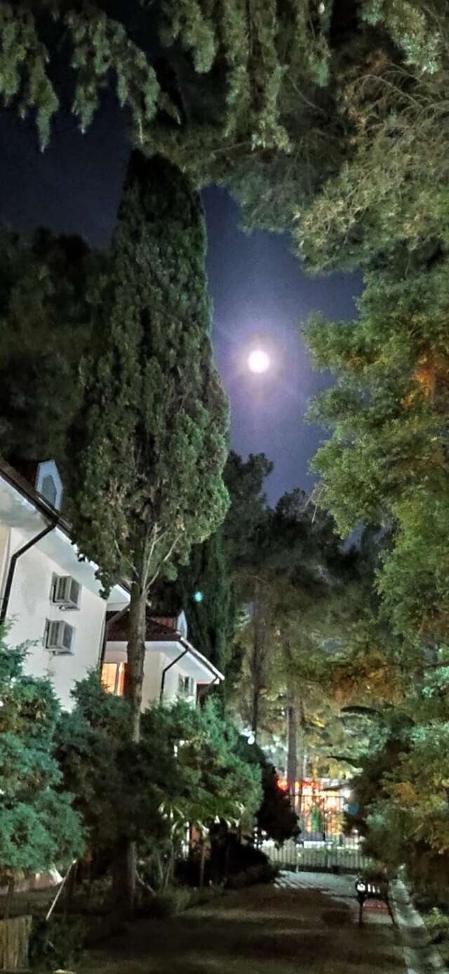 Гостиница Адлер Адлер-41