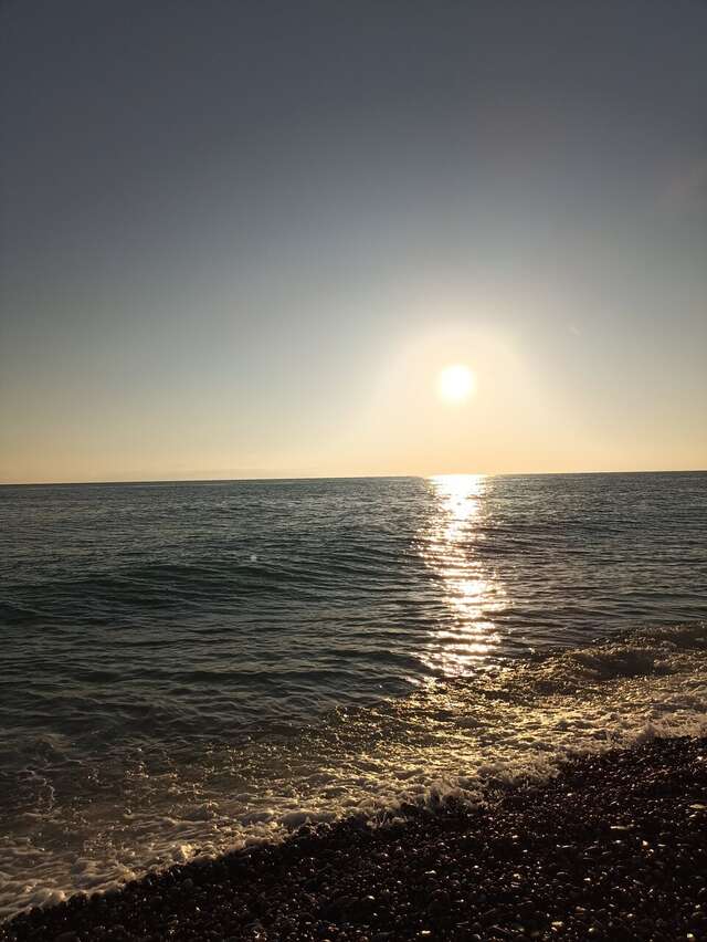 Гостиница Адлер Адлер-71